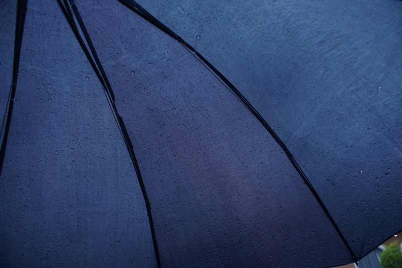 "Um guarda chuvas bem econmico ele...leia" de Decio Badari