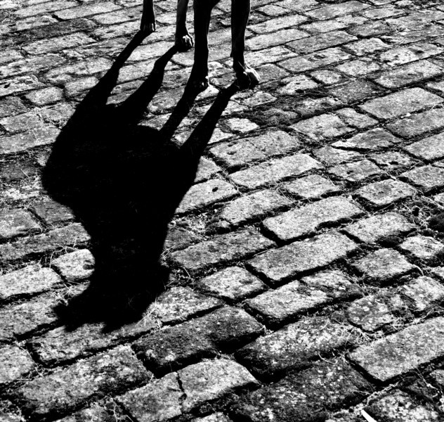 "A sombra do branco  igual a do preto...fv.ler" de Decio Badari