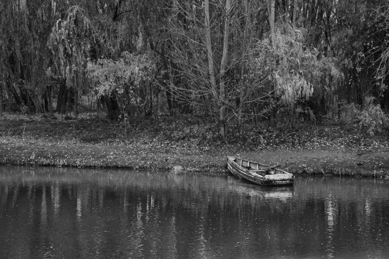 "La canoa" de Osvaldo Sergio Gagliardi
