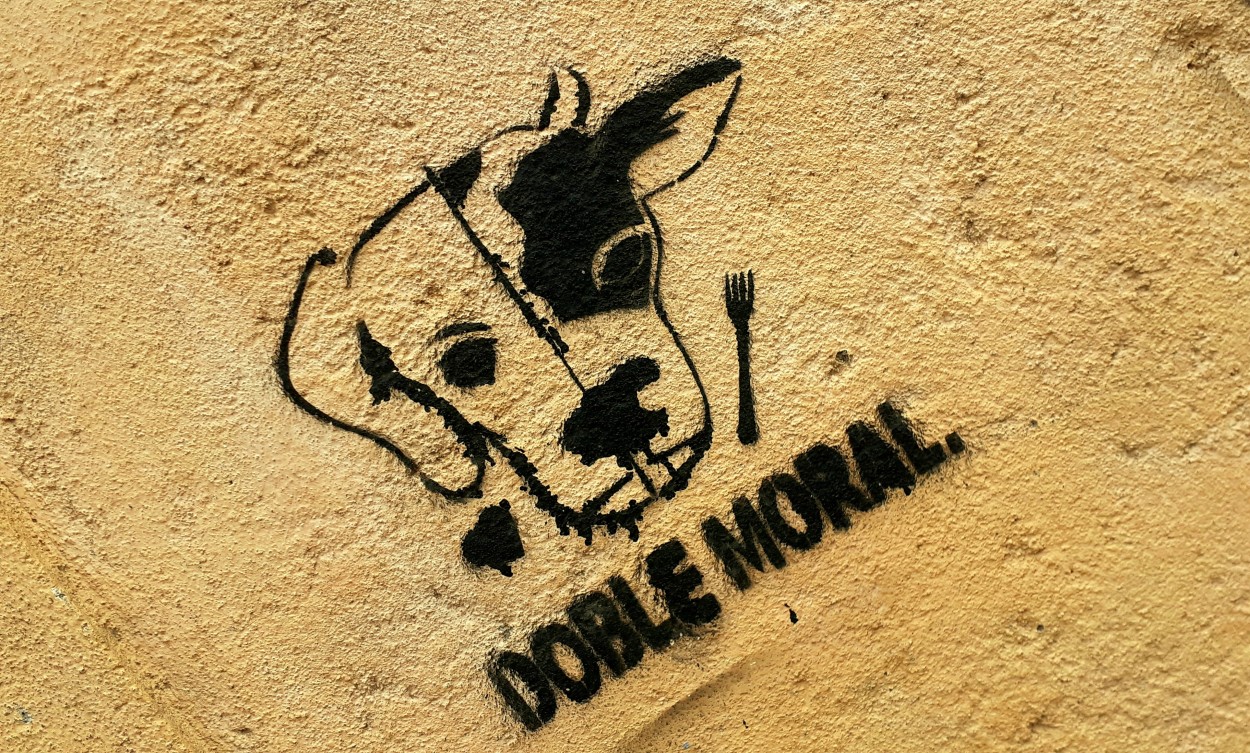 "Stencil" de Diego Proverbio de Freitas