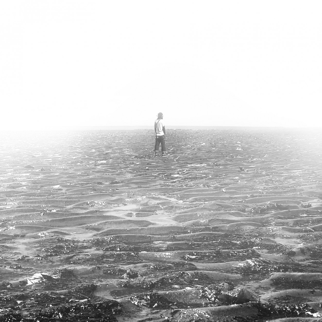 "Lost in the Mist" de Carlos A. Sandoval