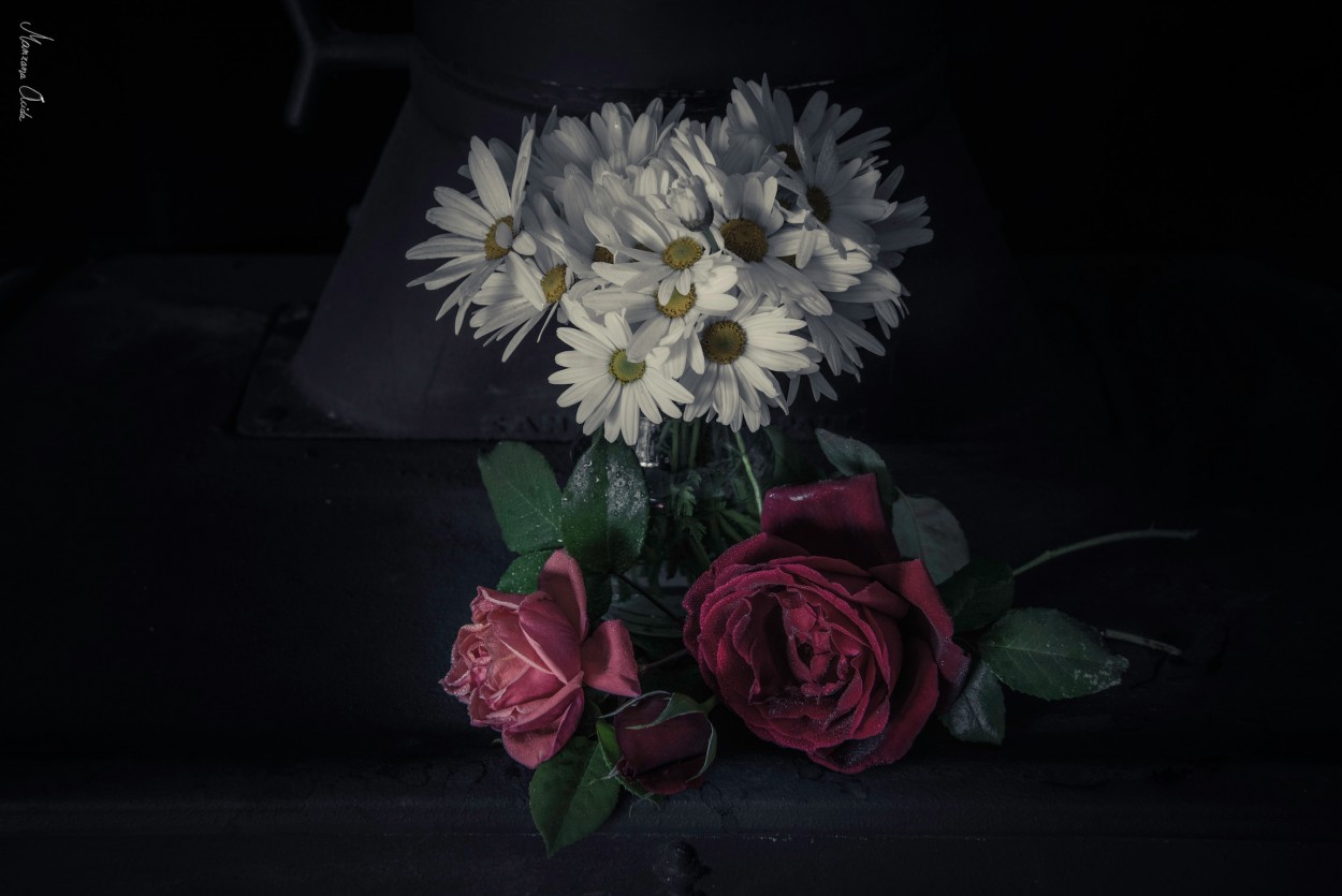 "Flores Para Un Haiku" de Carmen Esteban