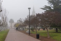 Niebla en la plaza