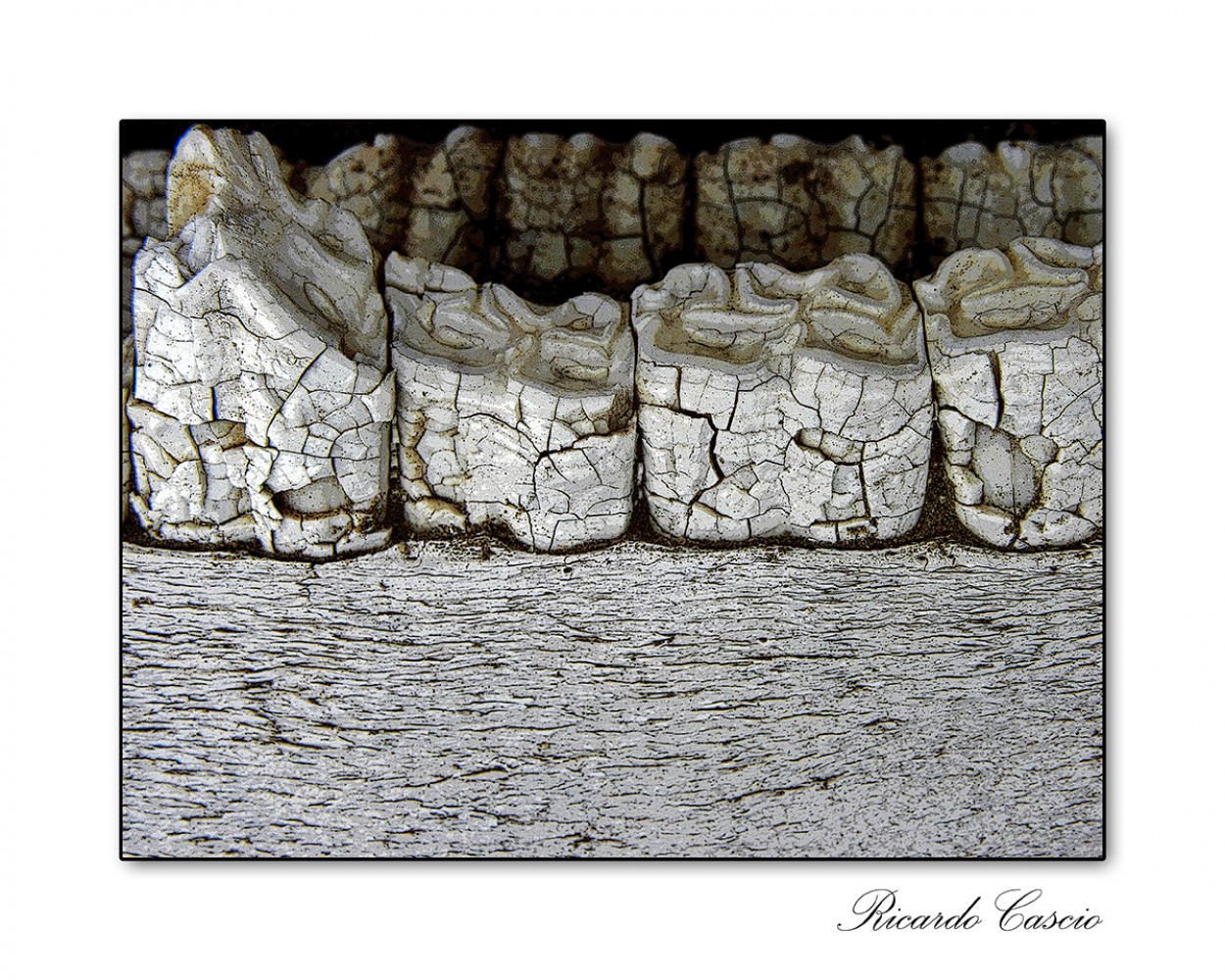 "Construccin molar" de Ricardo Cascio
