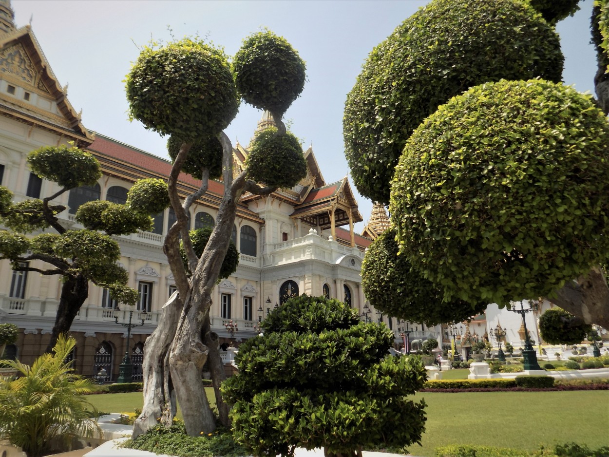 "Jardin Tailandes" de Lidia Marence