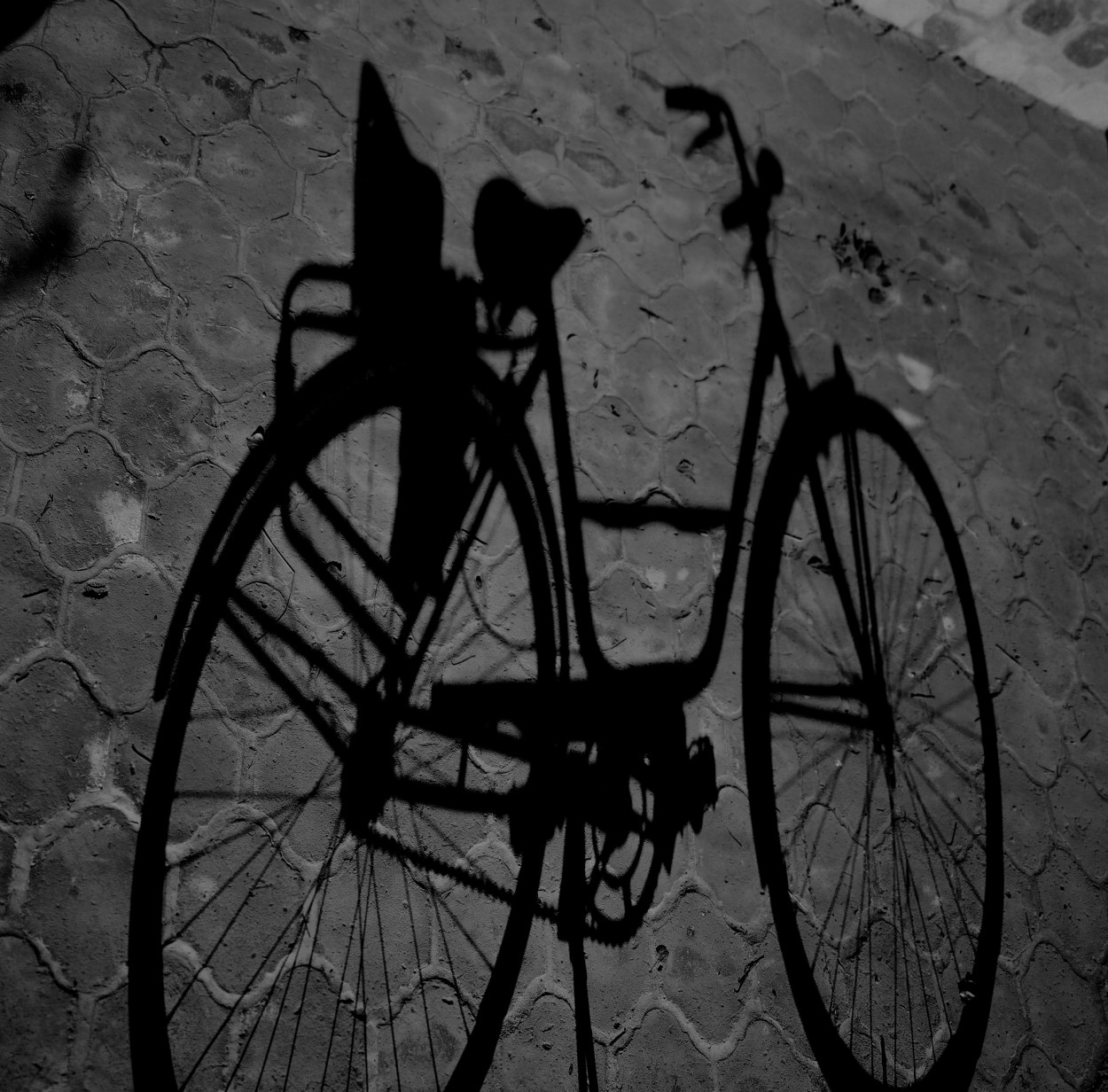 "La bicicleta" de Cecilia Mazurenco