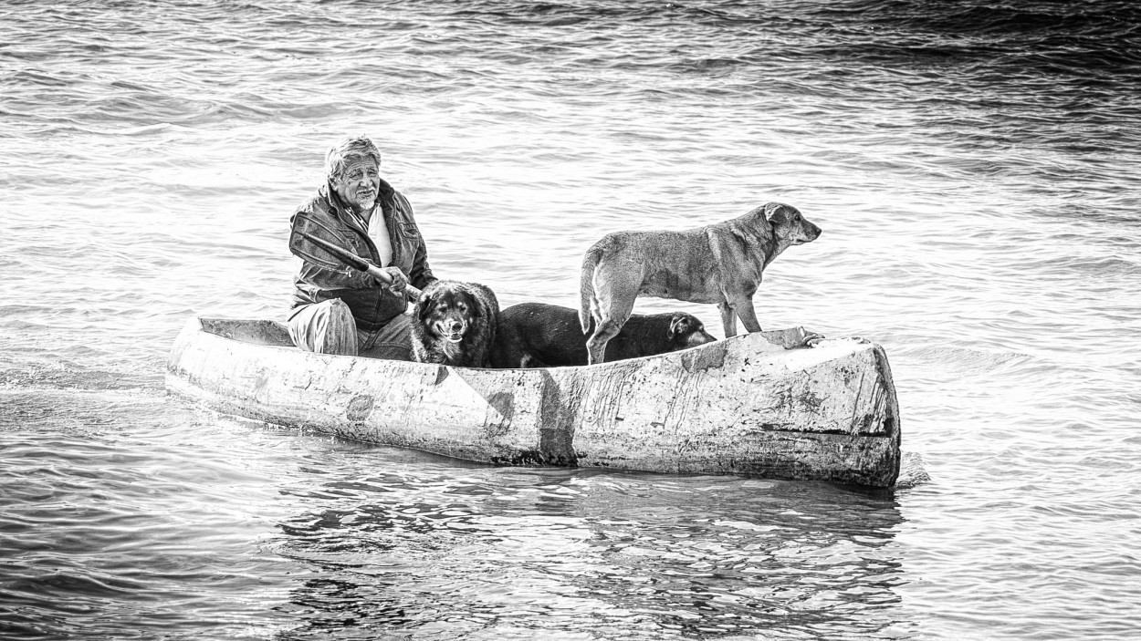 "El hombre, la canoa y los perros" de Carlos Gianoli