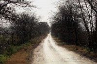 Camino rural IV