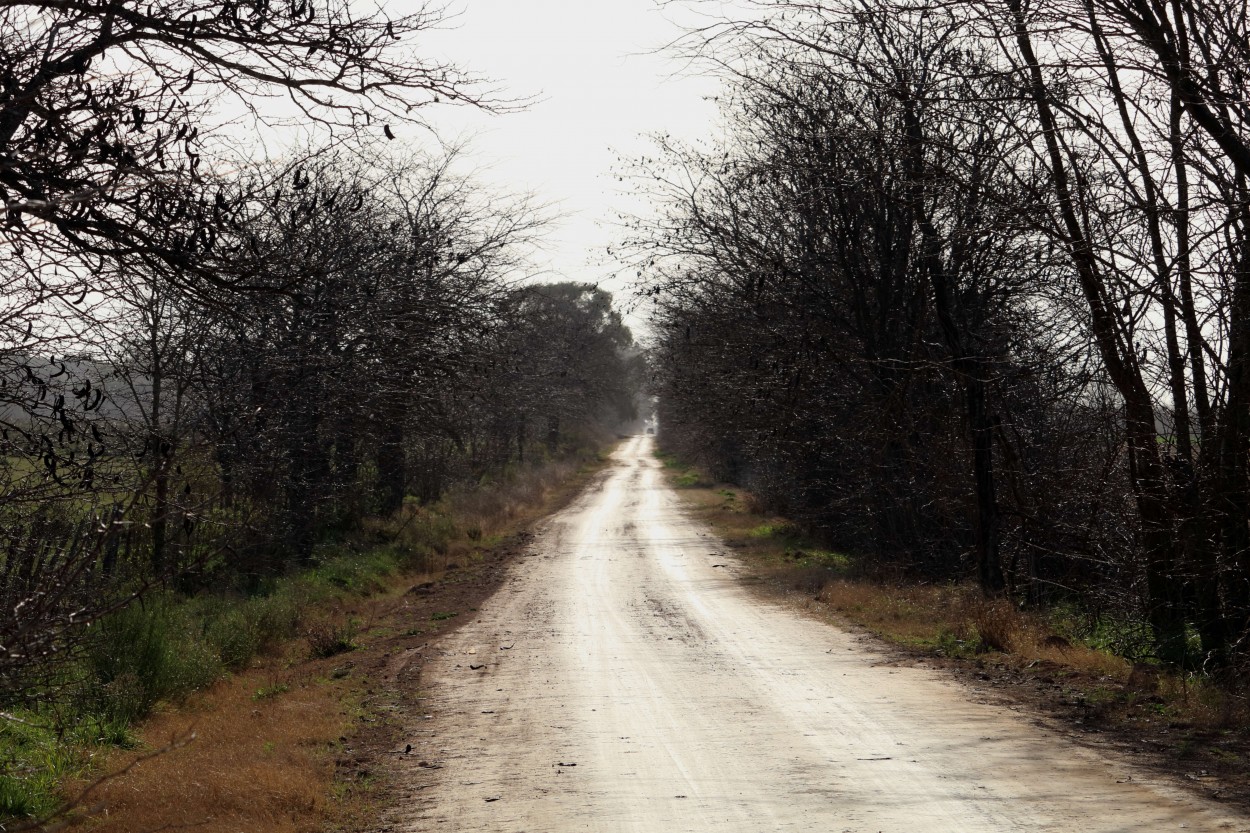 "Camino rural IV" de Natalia Harosteguy