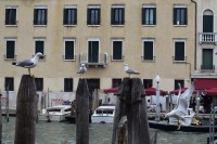 Reunin en Venecia