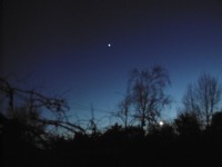 Venus ,lucerito alba