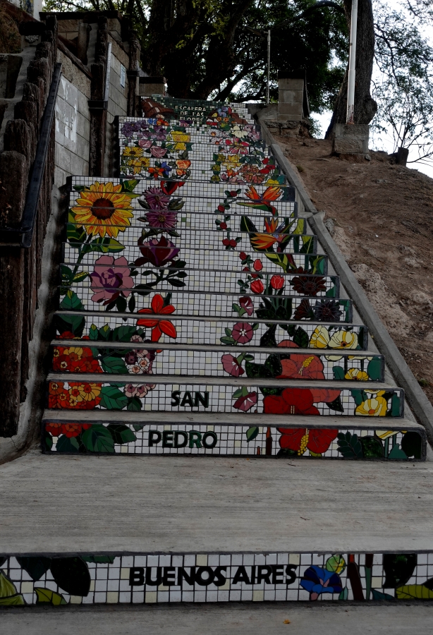 "escalera de las flores 2" de Gustavo Targa