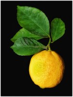 El limon