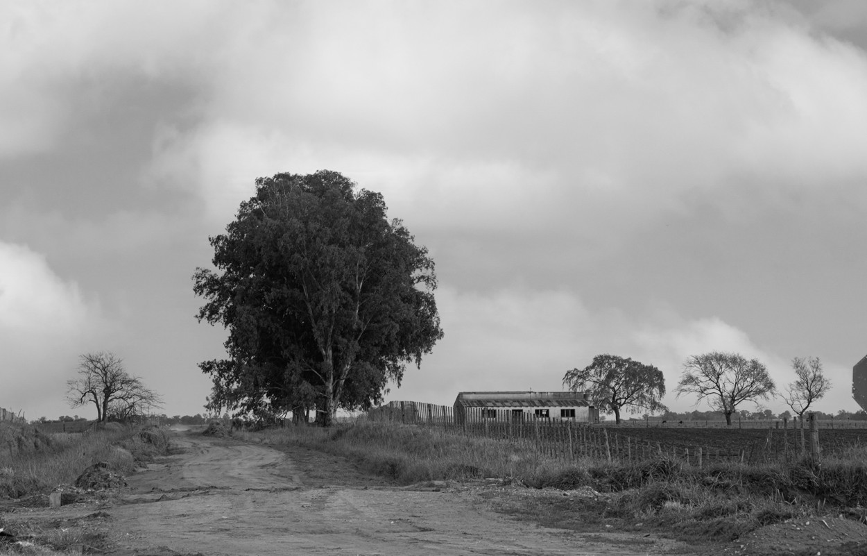 "Camino a la vieja escuela de campo" de Fernando Valdez Vazquez