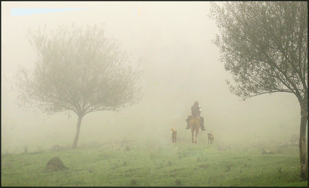 "Inicio de una neblinosa jornada. !!!" de Ruben Perea