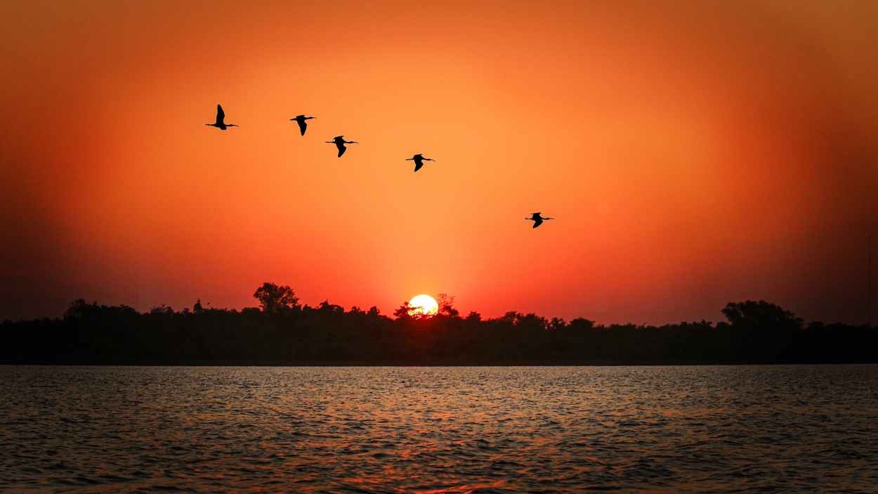 "Ultimo sol en la laguna..." de Juan Carlos Barilari