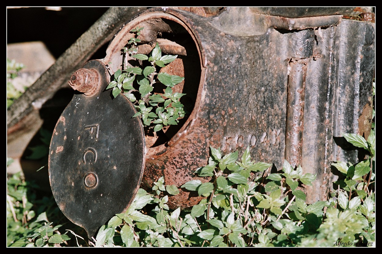 "Foto (2 )de Ferrocarriles Argent. abandonados" de Alfredo Mendez