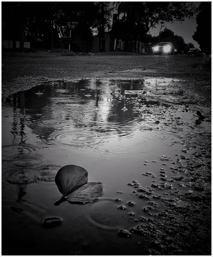 "Empieza la noche y la lluvia" de Roberto Guillermo Hagemann