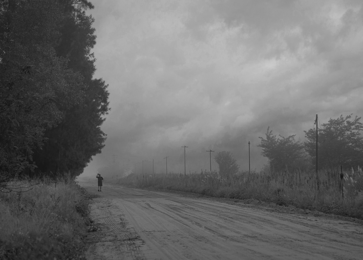 "Por el camino de la tormenta" de Fernando Valdez Vazquez