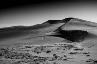 Soledad de las dunas