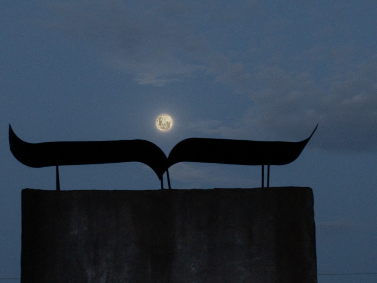 "Las alas de la luna" de Fernando Valdez Vazquez