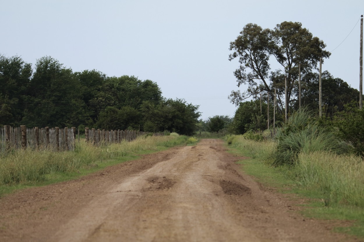 "Camino rural V" de Natalia Harosteguy