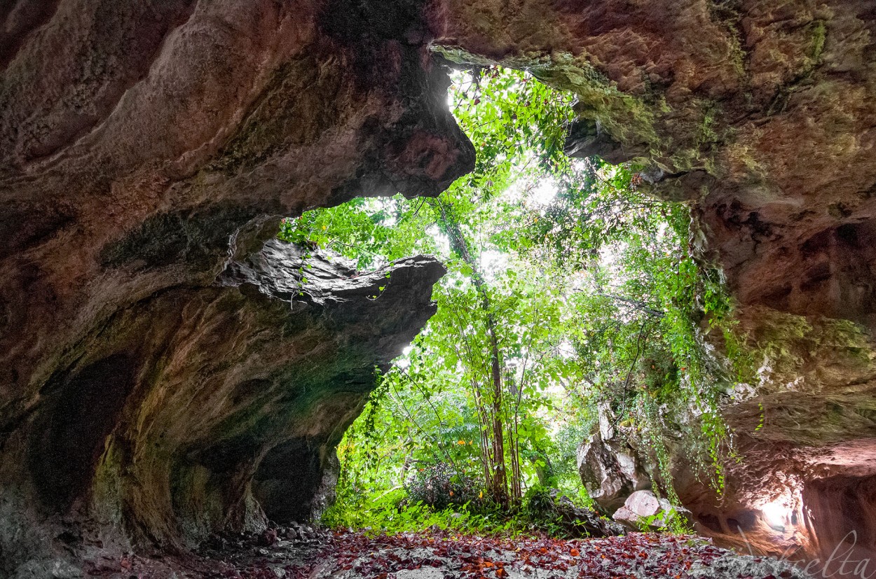 "Cuevas de Zugarramurdi" de David Roldn
