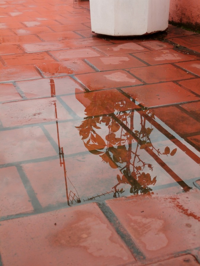 "y despues de la lluvia..." de Alejandra Gientikis Tarantino