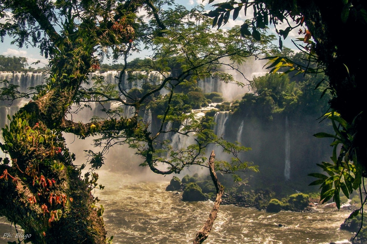 "Cataratas de Iguazu." de Hugo Kolmann