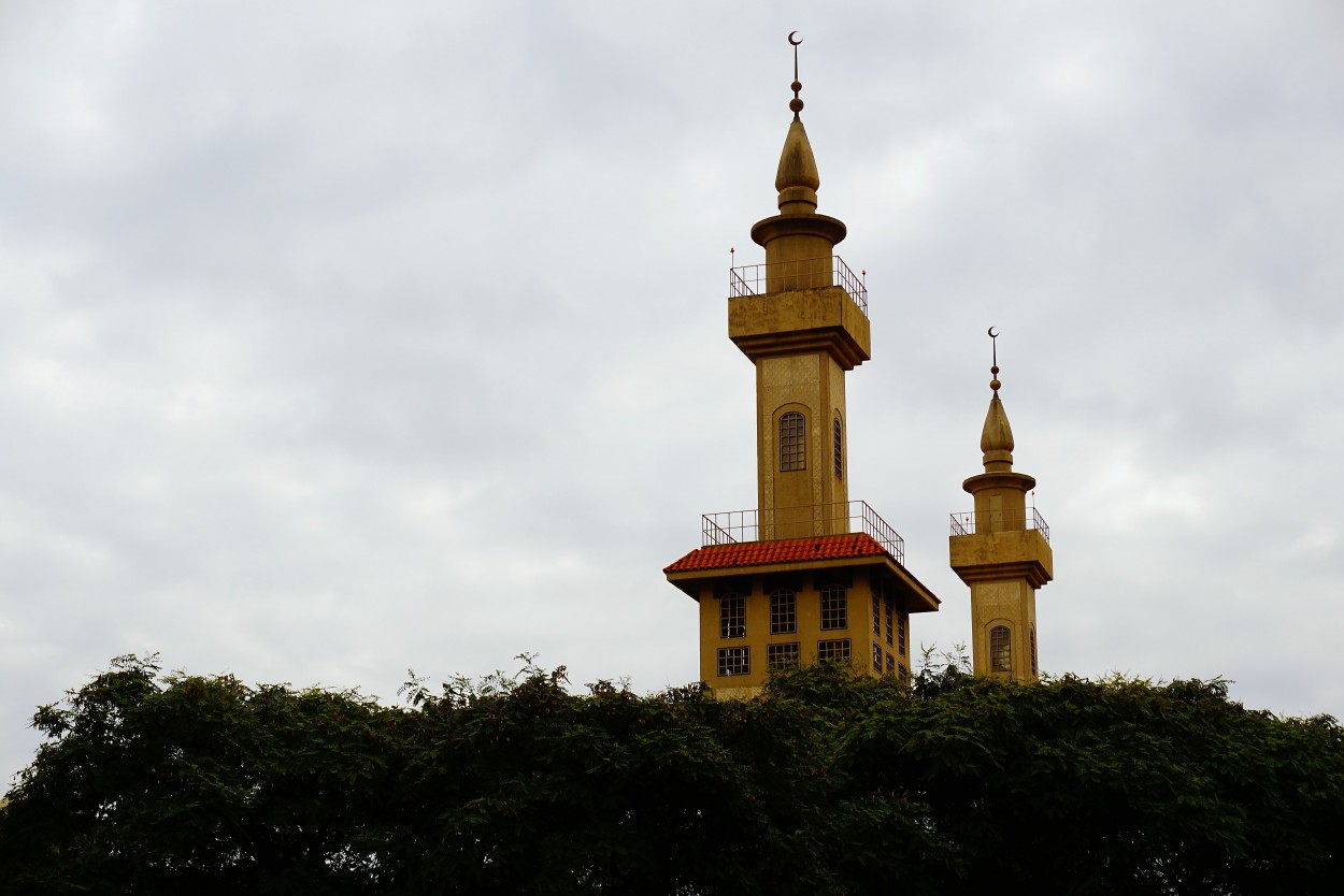 "la mesquita" de Americo Rosa Pombinho