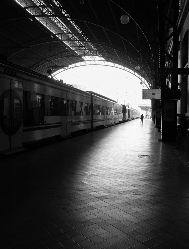 "Estacin con tren y viajero." de Abel Puche Alifa