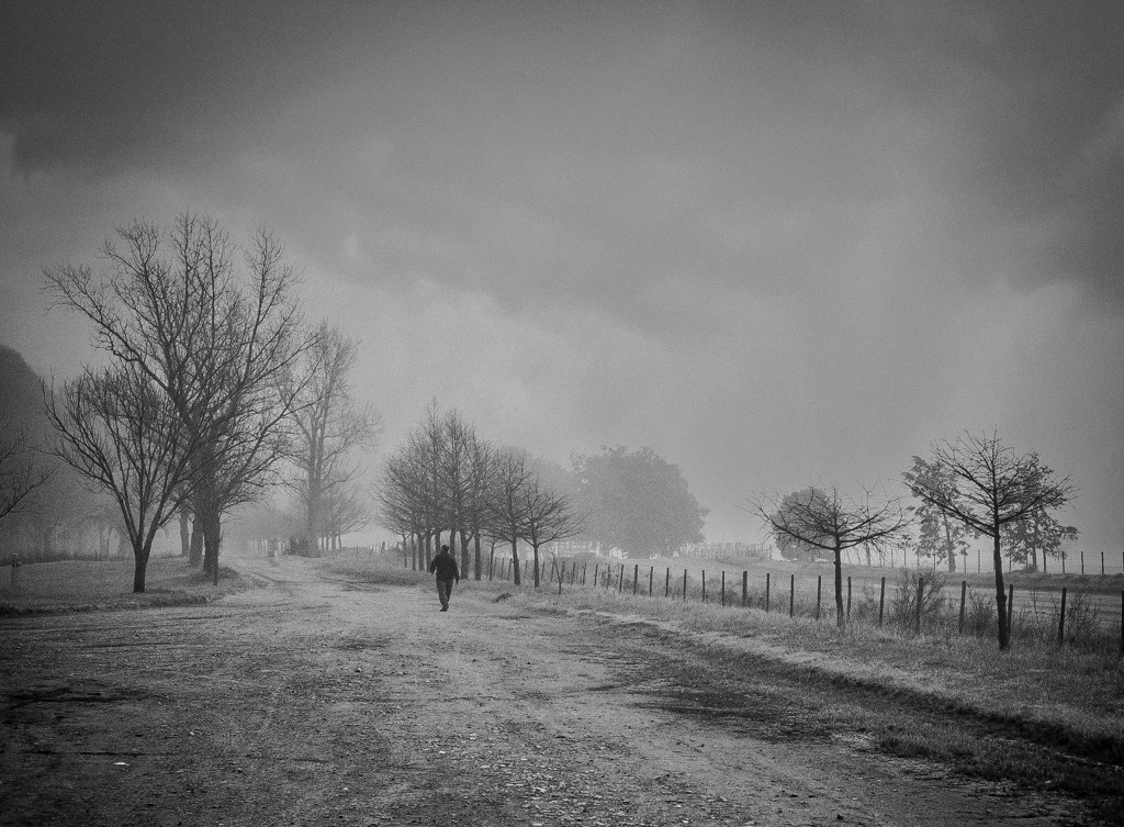 "Caminando en una maana gris" de Fernando Valdez Vazquez
