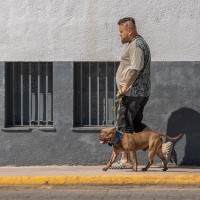 Hombre y perro