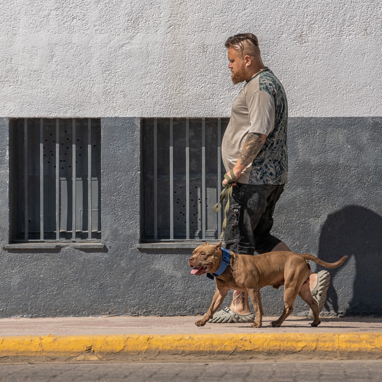 "Hombre y perro" de Carlos Gianoli