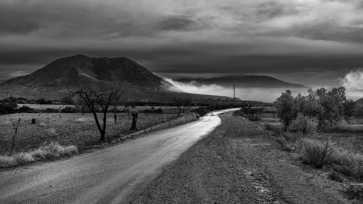 "Camino mojado" de Francisco Jos Cerd Ortiz