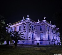 Museo Superior de Bellas Artes/Palacio Ferreyra