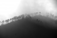 Niebla en los Apeninos