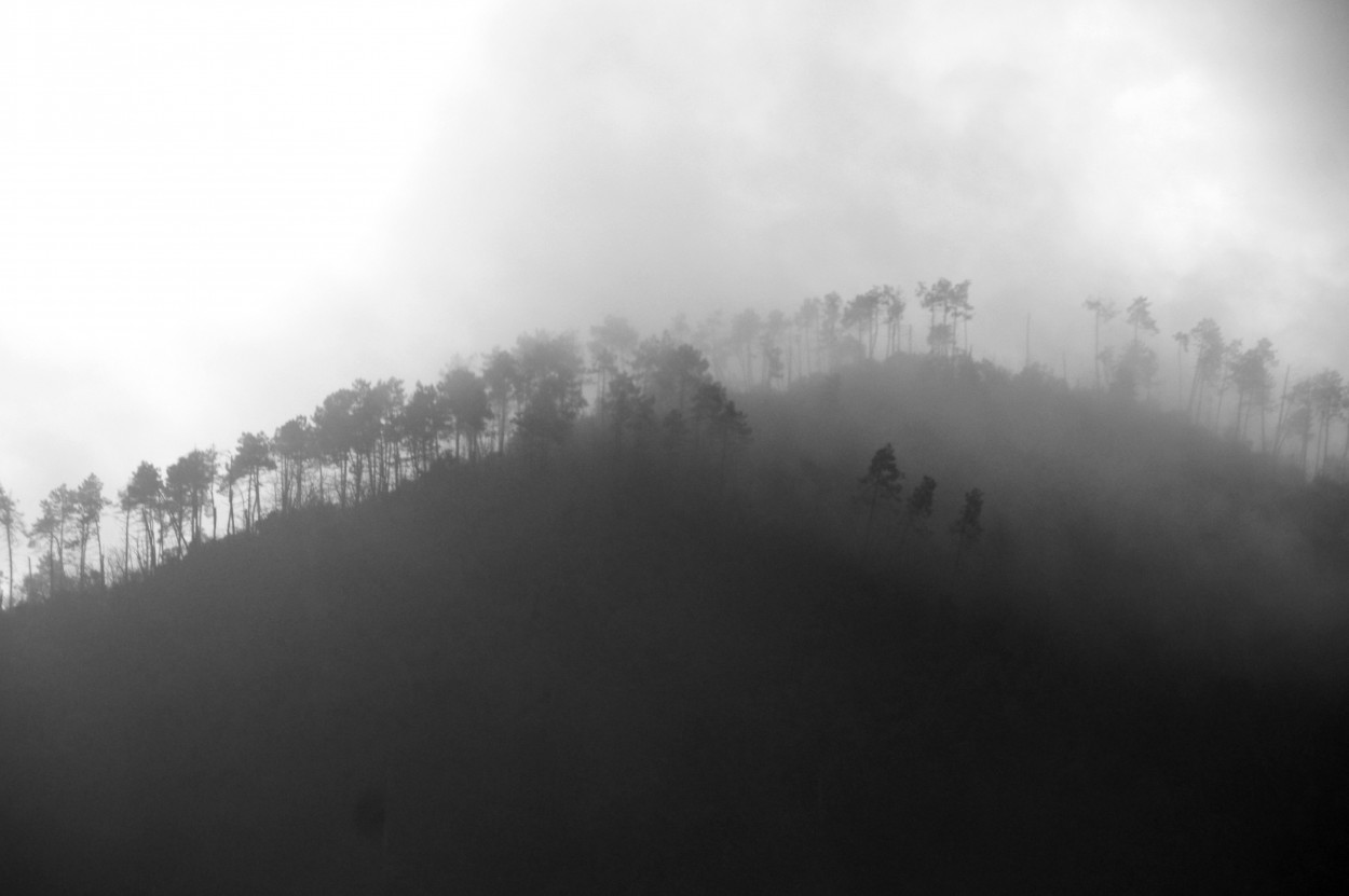 "Niebla en los Apeninos" de Javier Andrade