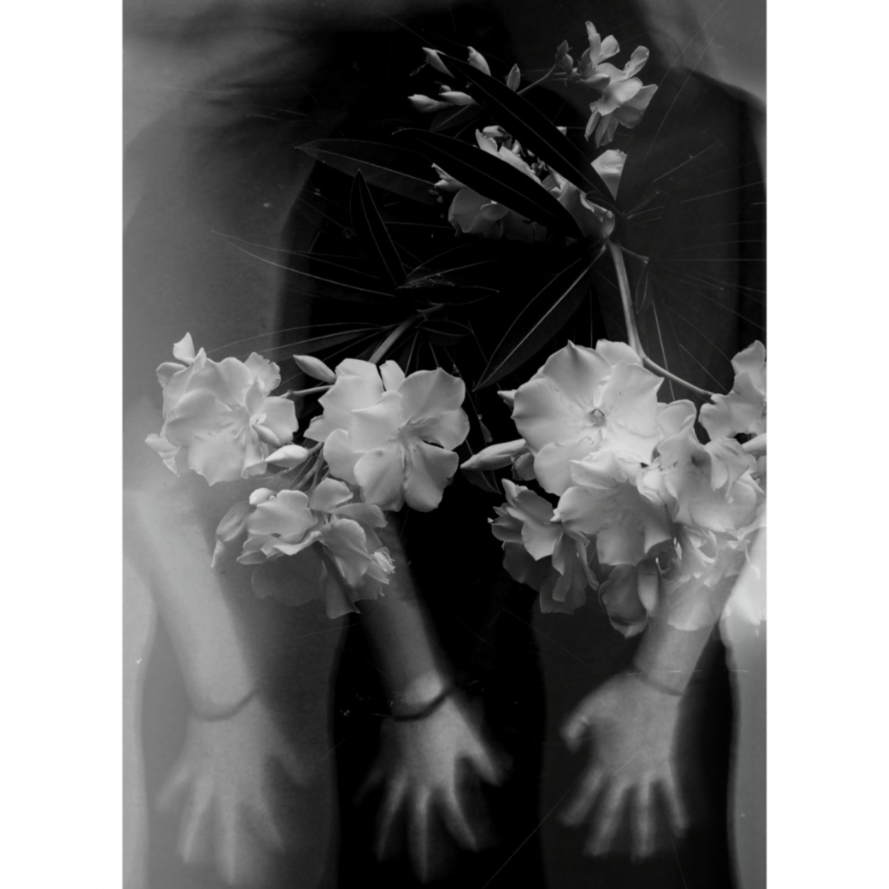 "Estas flores nunca mueren" de Gabriel Rigal