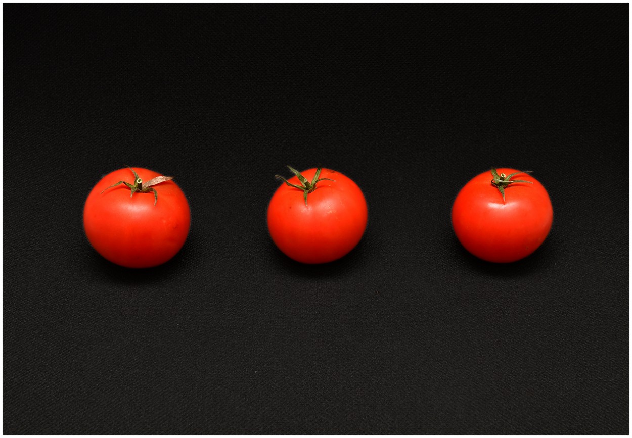 "Tomates" de Federico Grieco