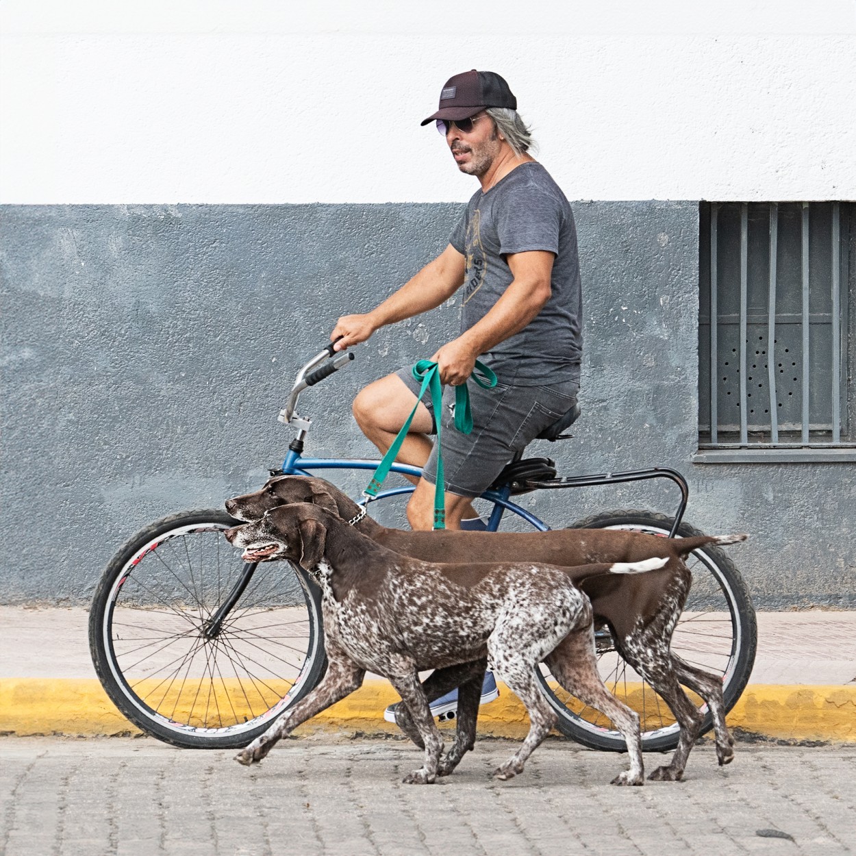 "El paseador de perros" de Carlos Gianoli