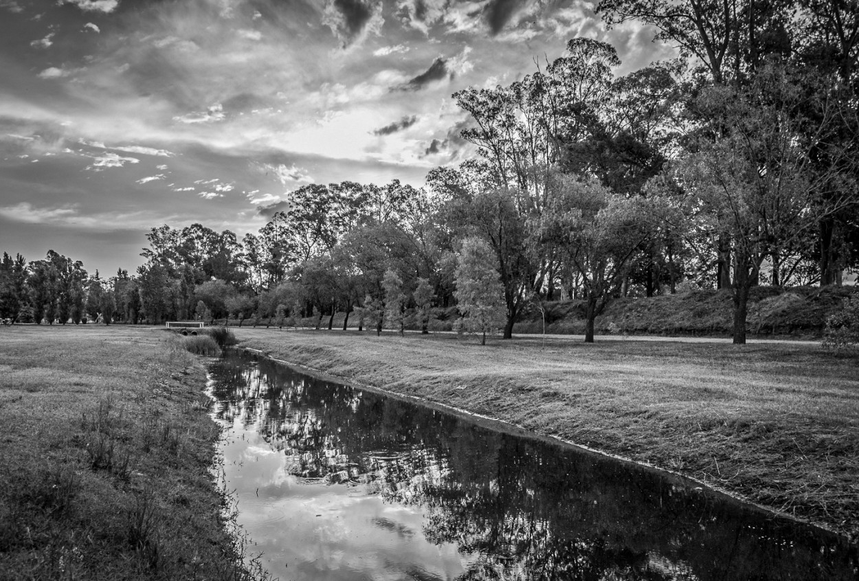 "Un canal en el Parque" de Fernando Valdez Vazquez