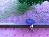 `Un dia con amenaza de lluvia`