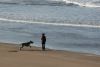 El perro y la muchacha en la playa