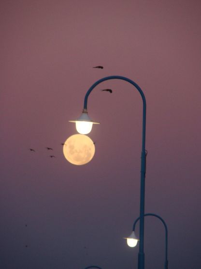 Foto 4/Jugando con la luna