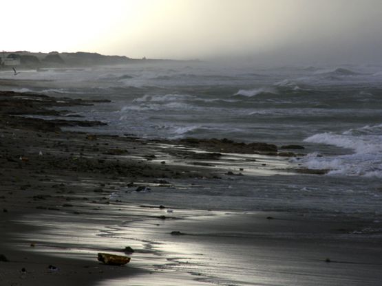 Foto 5/Tempestad en la costa