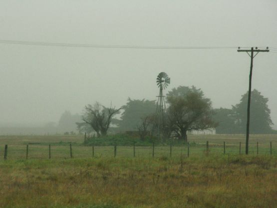Foto 2/Niebla en el camino