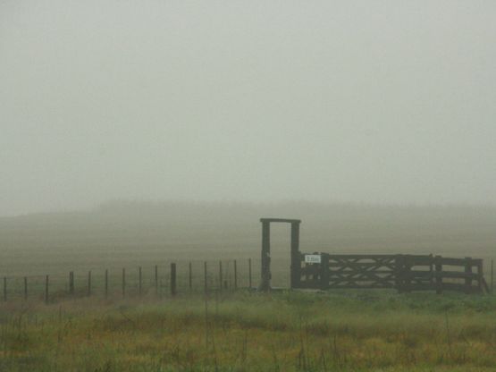 Foto 3/Niebla en el camino