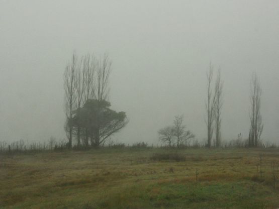 Foto 4/Niebla en el camino