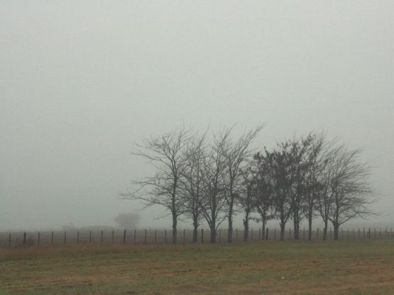 Foto 5/Niebla en el camino